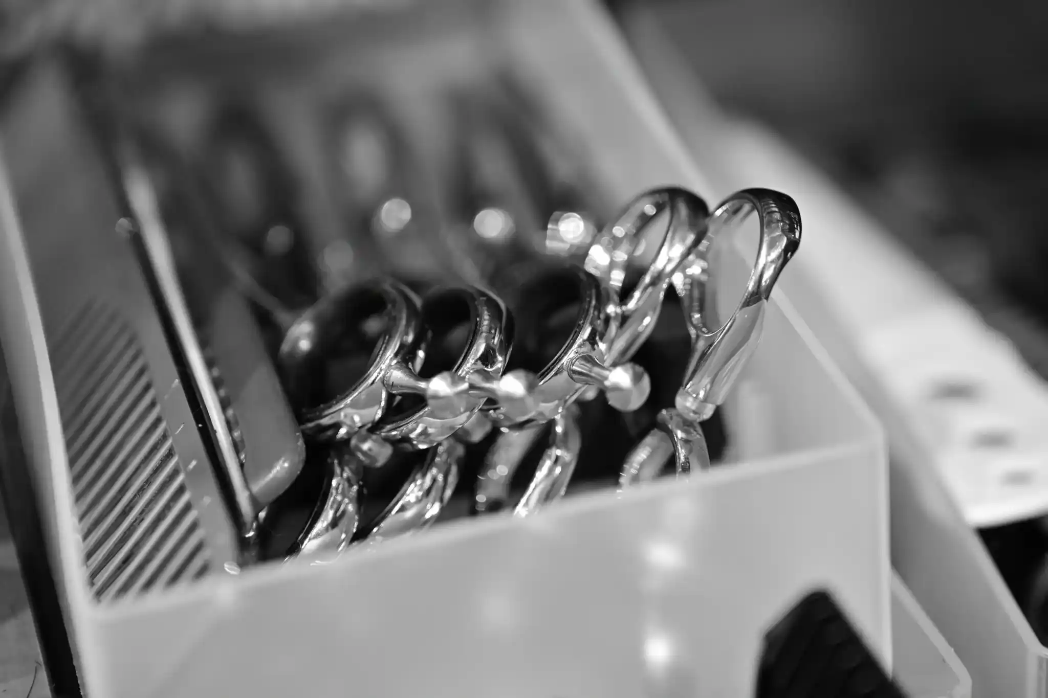 お客様へのメッセージ